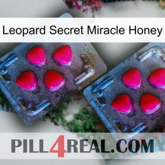 Leopard Secret Miracle Honey 14